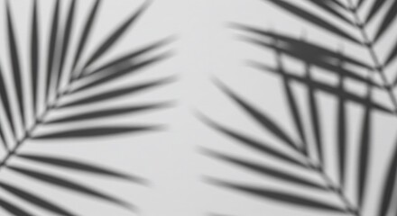 Fototapeta premium Palm Shadow Play AI Generated