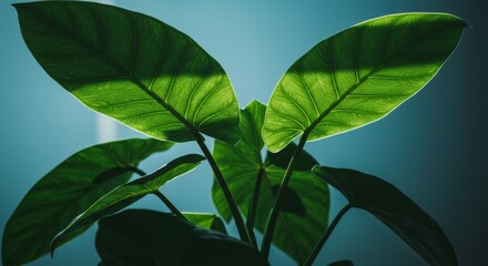 Vibrant Green Plant Leaves Close Up