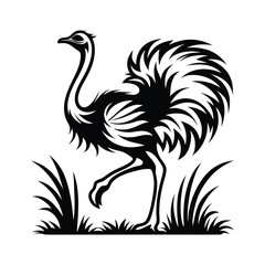Stylized Ostrich Silhouette Walking in Grass, Isolated Black & White Animal Design