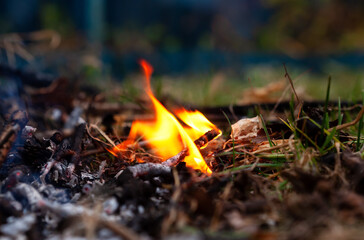 Close-up of a forest fire. Environmental protection.