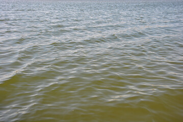 lake surface with waves background