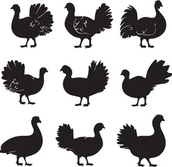 Silhouette Turkey Collection: Vector Illustrations, Black and White