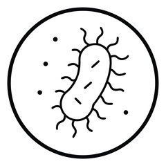 cucumber on a white background