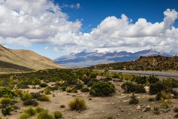 On the way across the Altiplano, Peru