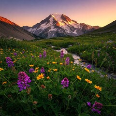 Fototapeta premium sunset in the mountains