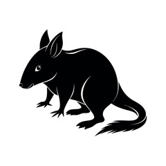 Fototapeta premium Bandicoot Foraging Silhouette Illustration 