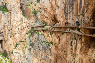 Die Schmale Holzbrücke vom Caminito del Rey Weg spannt über eine dramatische Felsenschlucht inmitten der Natur, Malaga, Spanien, Europa
