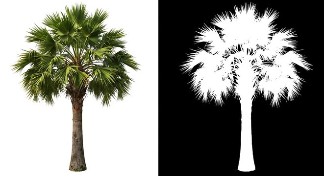 Sun-Kissed Sabal Palm AI Generated