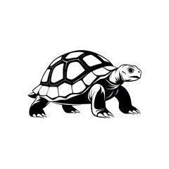 Desert tortoise walking silhouette