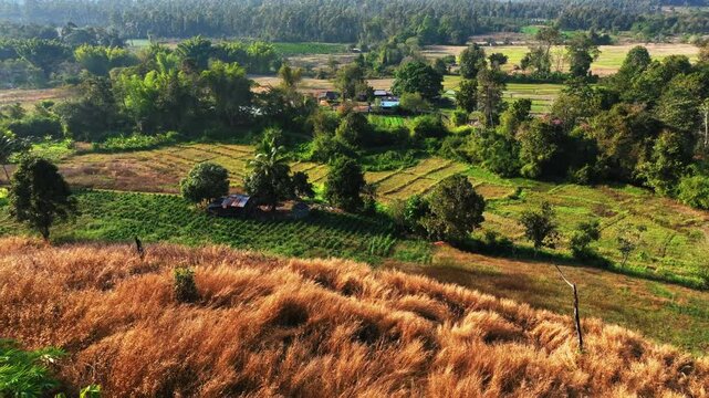 Aerial Forward Growth Of Green Trees On Mountain Landscape During Sunny Day - Mae Wang District, Thailand