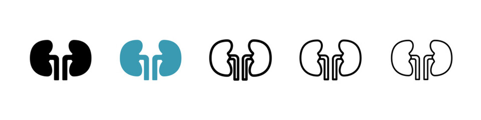 Kidneys icon. Thin lines isolated