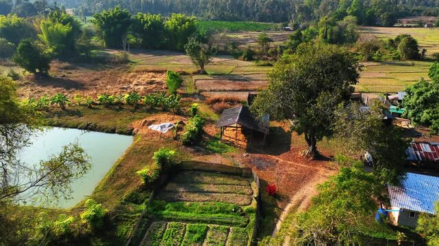 Aerial: Drone Forward Tranquil View Of Agricultural Fields On Mountain During Sunny Day - Mae Wang District, Thailand