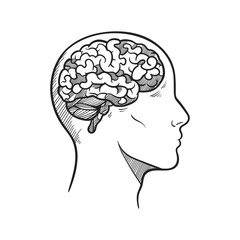 Line drawing of a brain inside a head profile