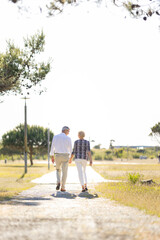 Fototapeta premium Senior couple holding hands walking on path in a park