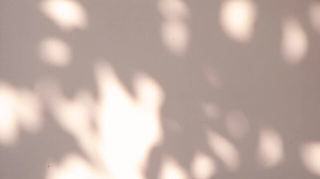 Abstract silhouette shadows of natural leaves tree branch falling on light beige wall background. Transparent blurry shadow in morning sunlight with copy space for text,4K