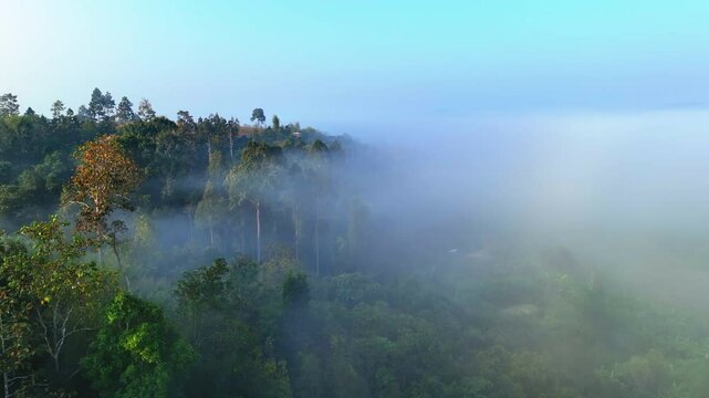 Aerial Beautiful Shot Of Houses Amidst Green Trees On Mountain, Drone Flying Forward During Foggy Weather - Mae Wang District, Thailand