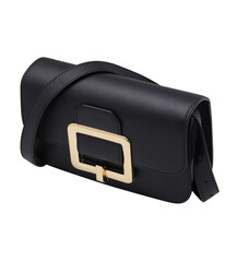 Image of a handbag for fashion on white background