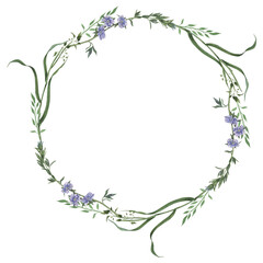 Wreath of wild herbs and flowers. Hand drawn watercolor illustration illustration of floral round frame on isolated background. Suitable for eco-branding, packaging, wedding design, botanical prints.