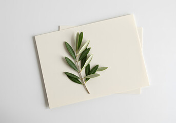 Olive branch on blank paper card, invitation mock-up