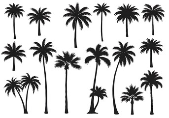 Palm Silhouette Collection AI Generated