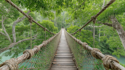 Obraz premium Suspension bridge stretching through lush, green rainforest canopy over teal water