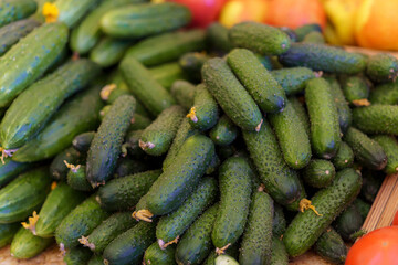 Ripe green cucumbers are sold at a vegetable food market. Fresh farm produce.