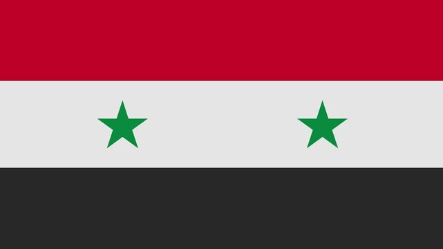 syria flag with animated light sweep