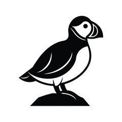 Atlantic puffin bird black and white illustration