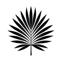 Elegant black silhouette tropical palm leaf design