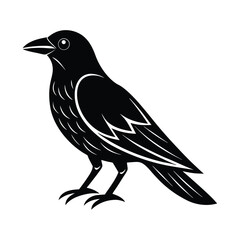 Majestic black crow bird silhouette illustration