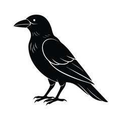 Majestic black crow silhouette bird illustration