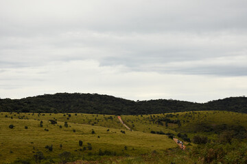 Fototapeta premium Horton Plains National Park, Sri Lanka.