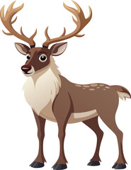 Reindeer
