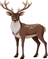 Fototapeta premium Reindeer