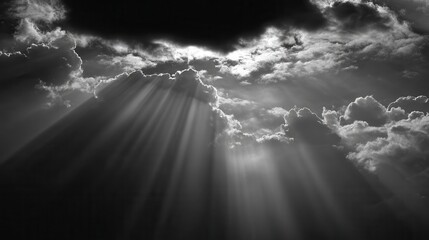 sunlight that illuminates nature with aesthetics