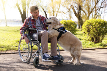 Teenage boy in wheelchair with his service dog at park © New Africa