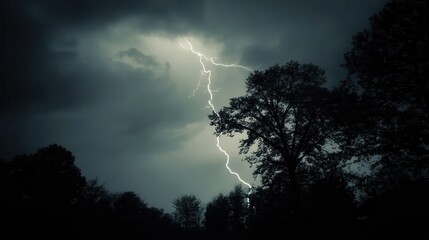 lightning in the forest