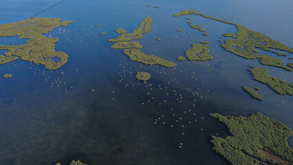  An aerial capture of flamingos scattered across shallow waters, gracefully surrounding a small, lush islet in tranquil formation.