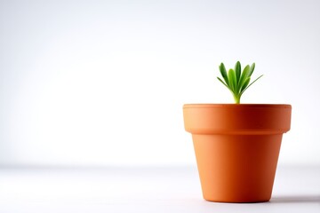 Obraz premium New Life Sprouting in Terracotta Pot - A small green plant sprouts from the soil in a terracotta pot against a white background. Simple, clean