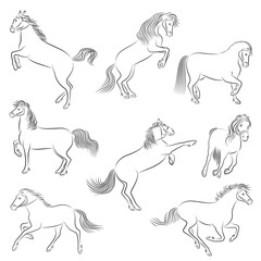 Collection. Silhouette of a beautiful strong horse. The animal runs fast. Drawing for aesthetic decor, posters, stickers, logo. Vector illustrations set