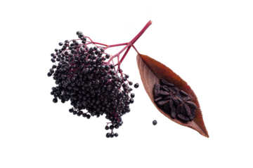 Elderberry and Star Anise A Natural Remedy for Winter Wellness