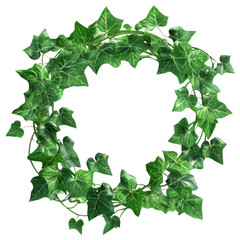 Fototapeta premium Ivy wreath foliage decoration isolated on transparent background