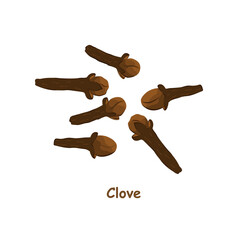 Clove spice isolated on a white background