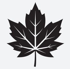 maple leaf silhouette vector art illustration, vector illustration of a leaf