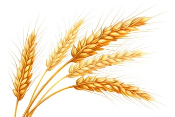 Fototapeta premium Golden Wheat Spikelets Arranged on a White Background Generative AI