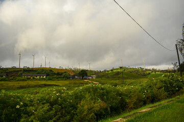 Wind Power Generation Fans (Windmills) and Grasslands of Ambewela Farm, Sri Lanka.