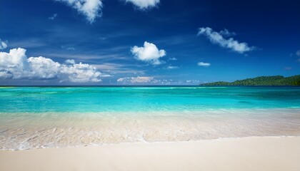 Fototapeta premium tropical beach with blue sky