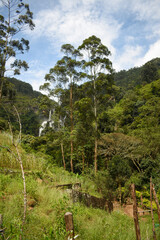 Fototapeta premium Bomburu Ella Waterfall Village, Galpalama, Nuwara Eliya, Sri Lanka.