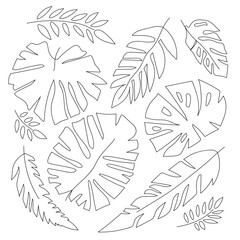 The collection of hand-drawn tropical leaves, each with intricate details and unique shapes. The black and white design captures the serene beauty of nature's foliage.