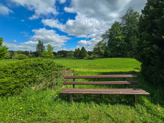 Scenic Park Landscape Harmony of Nature and Landscape Design